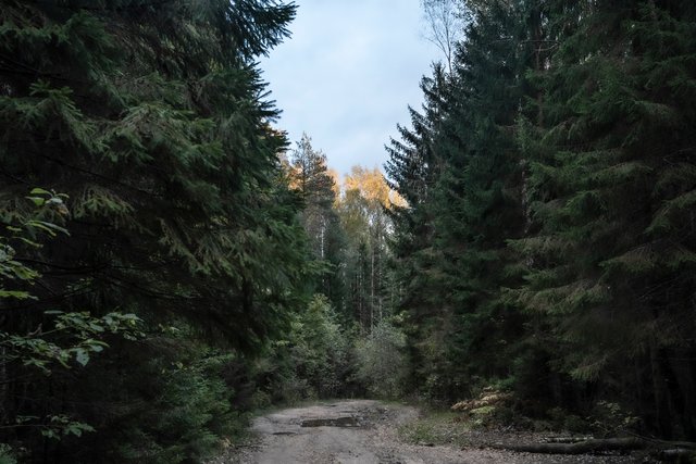 DSC05786.jpg