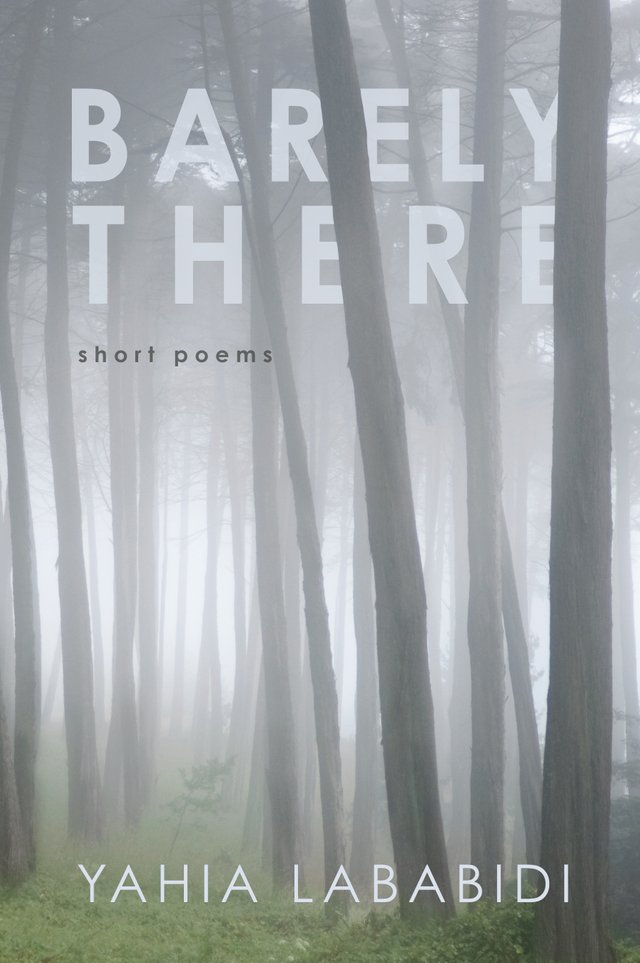 BarelyThere_Cover.jpg