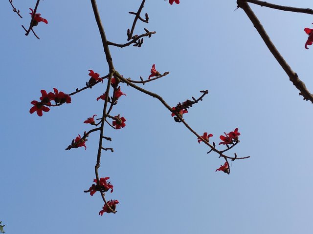20230228_084540.jpg