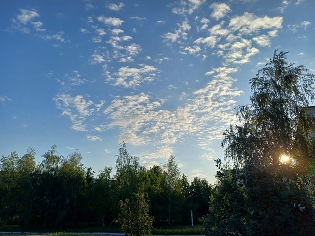 20250630_054648.jpg