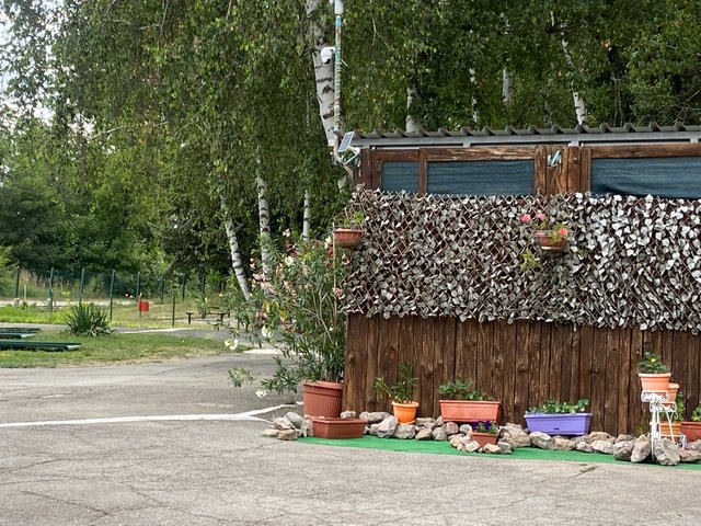IMG8224.JPG