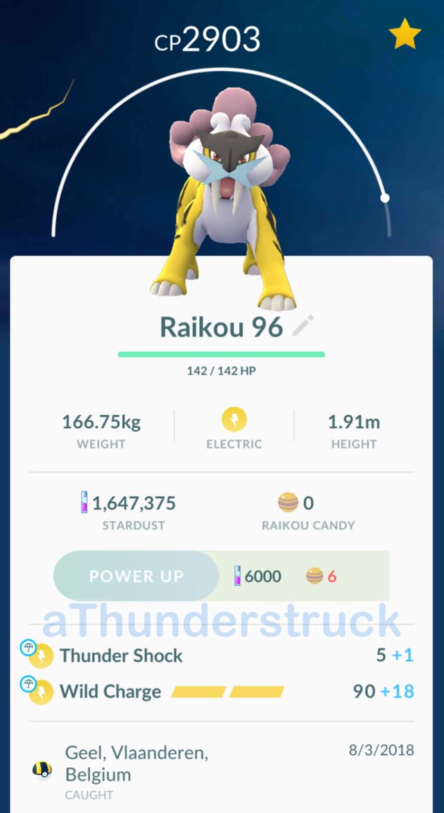 Pokémon Go - Shiny Raikou - Mini P T C - 80.000 Stardust