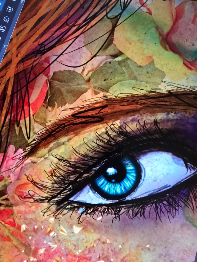 20250726_201231.jpg