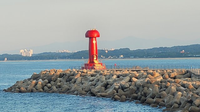 1000045497.jpg