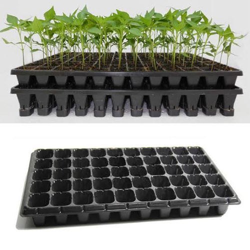 Seed Germination Trays Market.jpeg