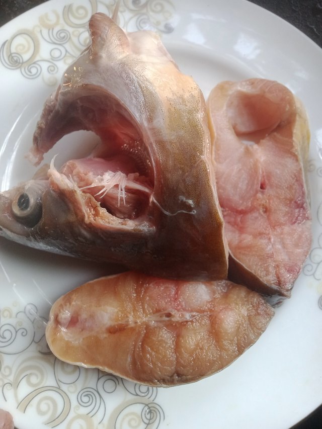 IMG20241117152141.jpg