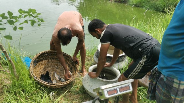 IMG_20240720_104409.jpg
