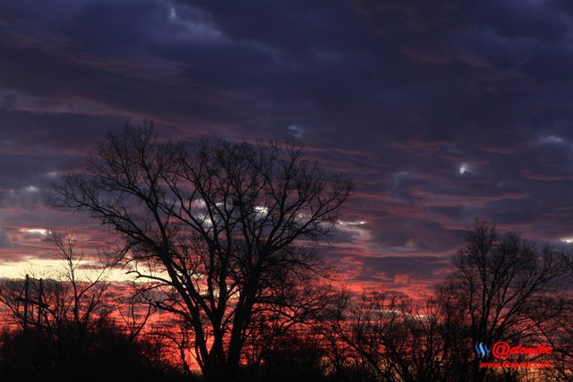 morning dawn sunrise golden-hour skyscape landscape IMG_0311.JPG