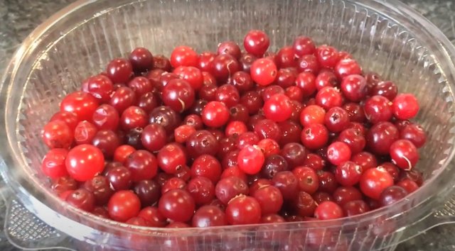 cranberries1.jpg