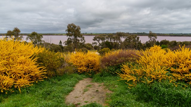 A1V00787.jpg