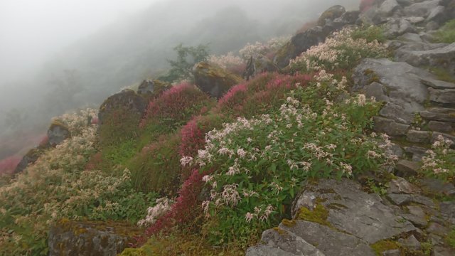 20250915_110440.jpg