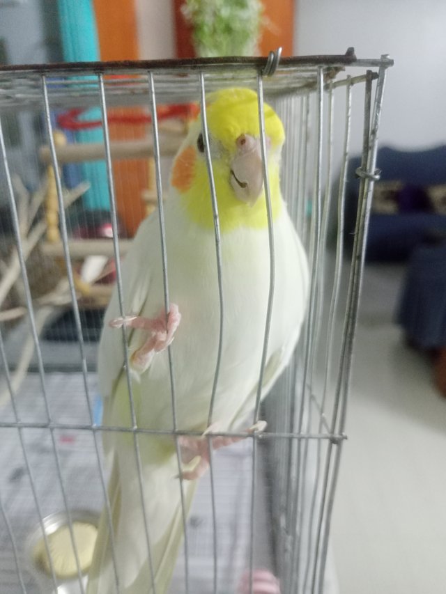 IMG20250606192236.jp