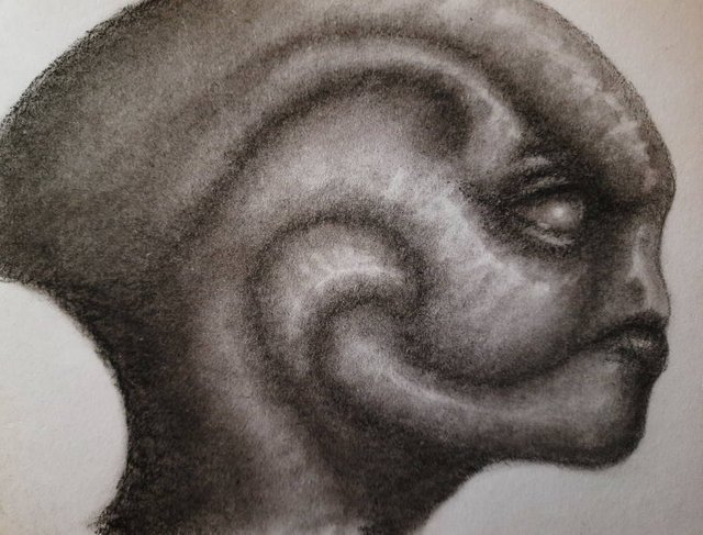 20250425_112054.jpg