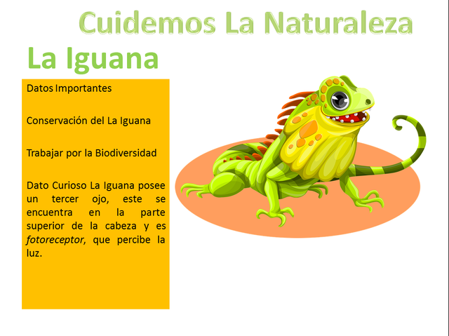 iguana portada.png