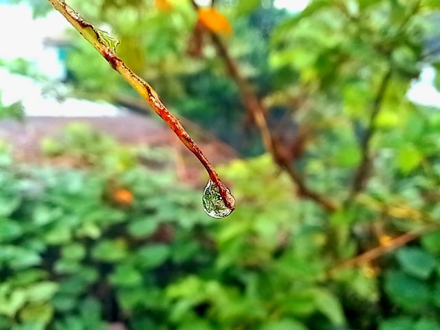 20250717_124229.jpg