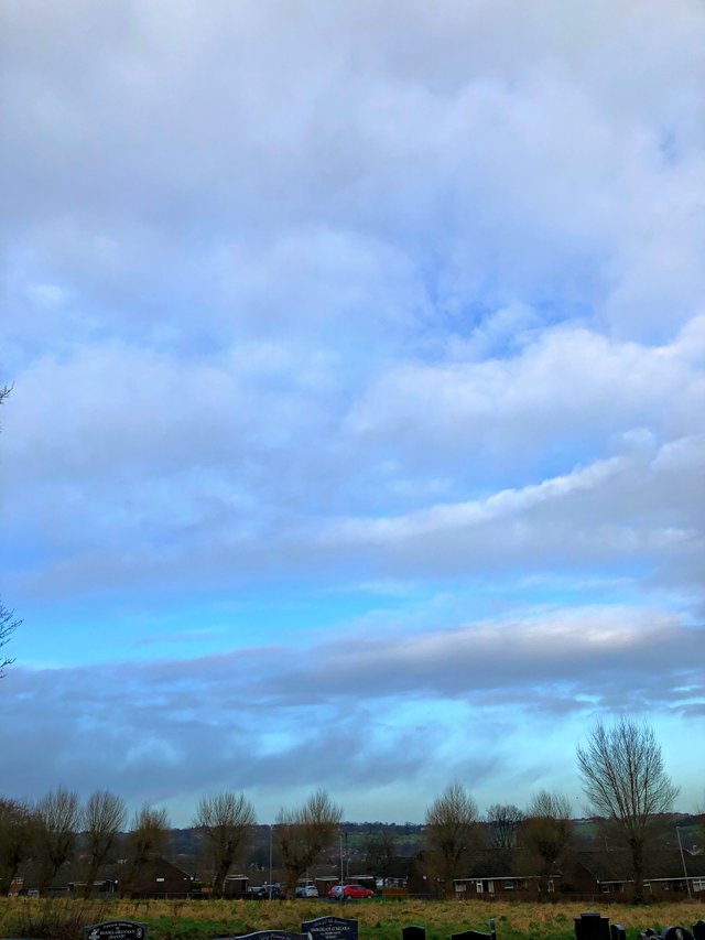 7E694B5C-2DE2-4C89-BA60-707A9C5FA588.JPEG