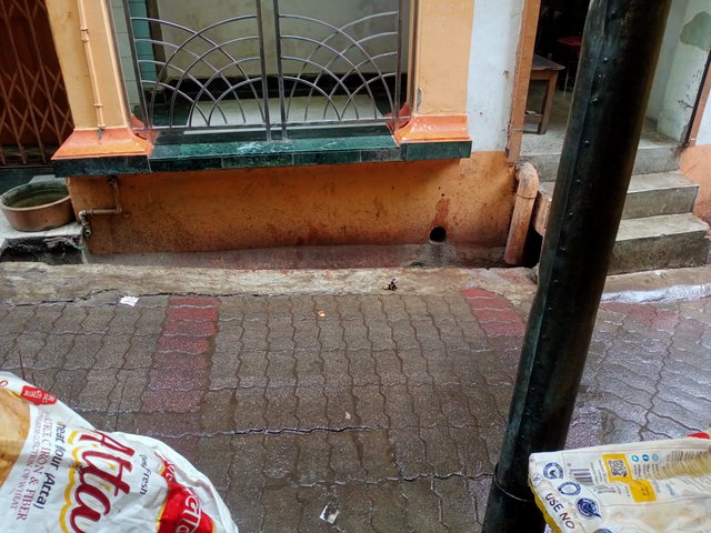 IMG20250619124603.jpg