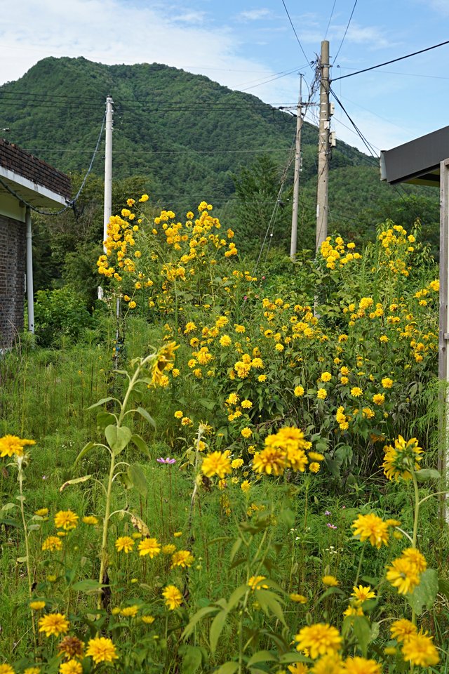 b-DSC00389.JPG