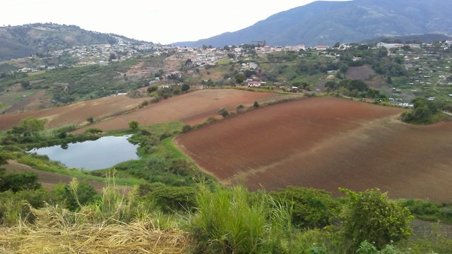 El encanto Sanare.jpg