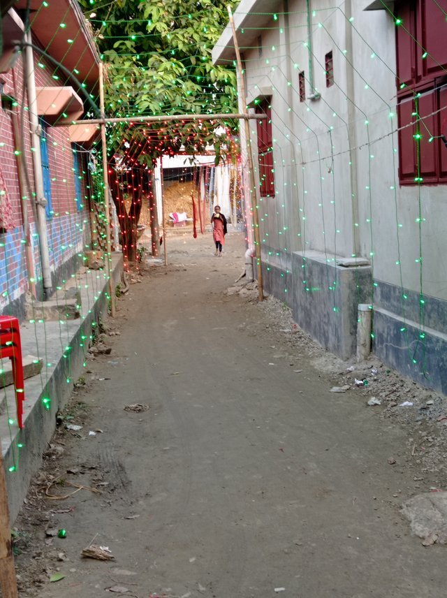 IMG_20241222_165052.jpg