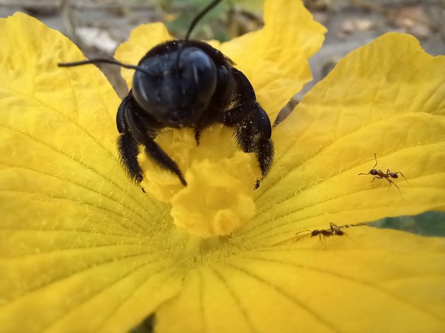 20221128_073655.jpg