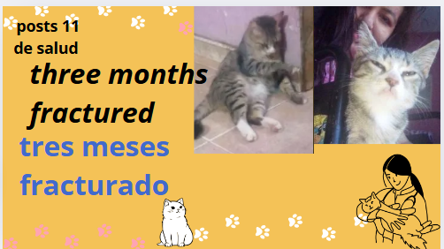 tres.PNG