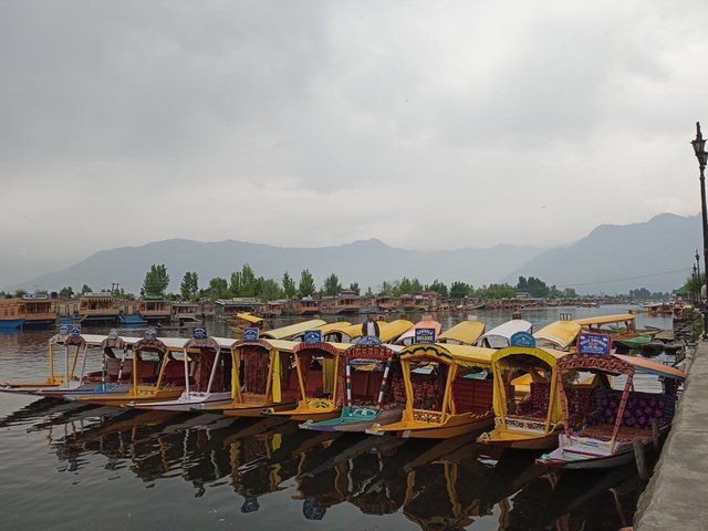 Hunting boats, Dal Lake, Srinagar..jpg