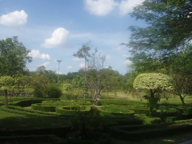 Queen Sirikit Park - array