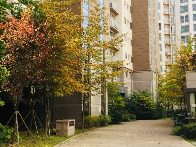 649307_524492_733.jpg