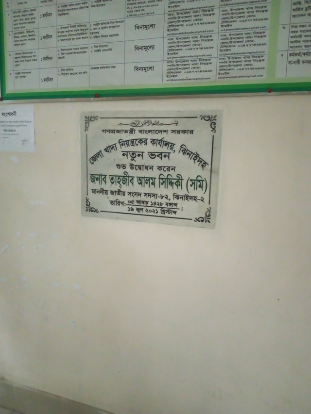 IMG_20250417_140145_617.jpg