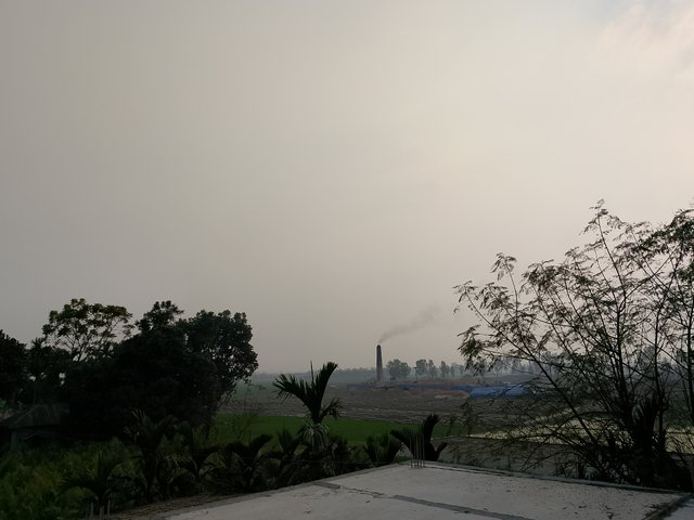 1000031153.jpg