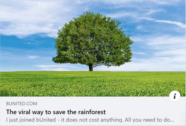bUnited tree.PNG