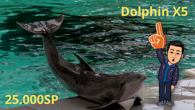 Dolphin X5.png