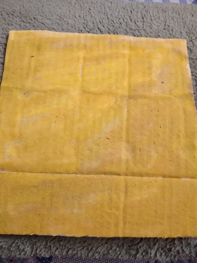 20250617_094707.jpg
