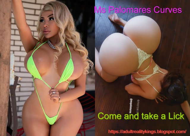 Ms Palomares Curves.jpg