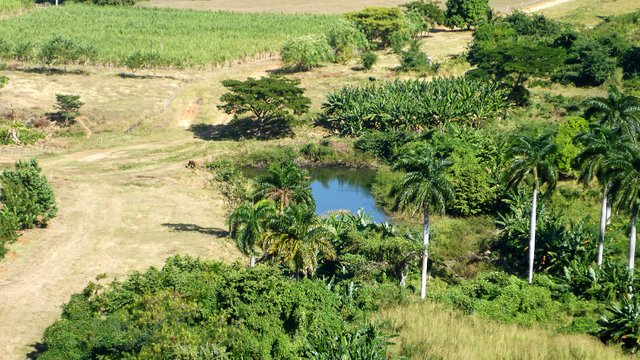 cuba_cienfuegos_07a.JPG