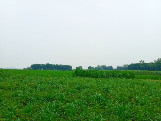 IMG_20250803_203348.jpg