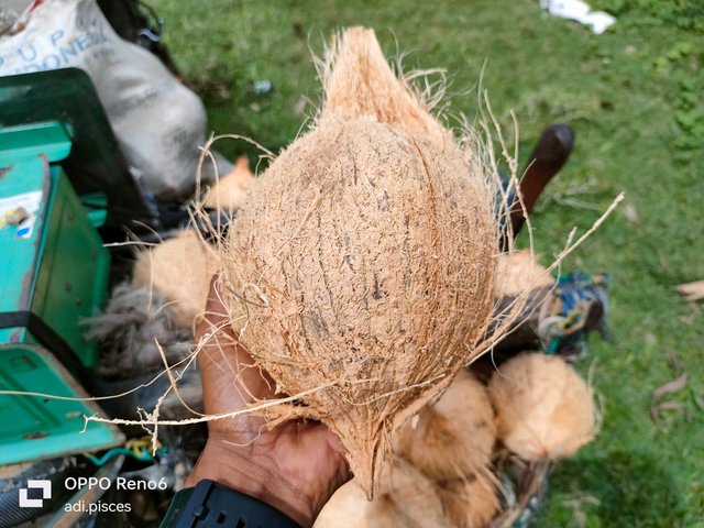IMG20250619112520.jpg
