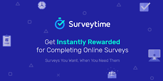 surveytime image.png