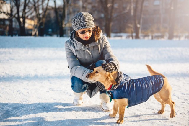 Winter-Season-Care-Tips-for-Pets-1440x961.jpg