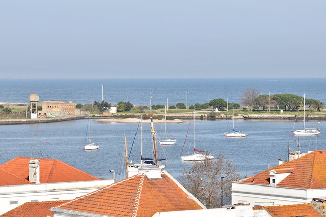 seixal park bay view.jpg