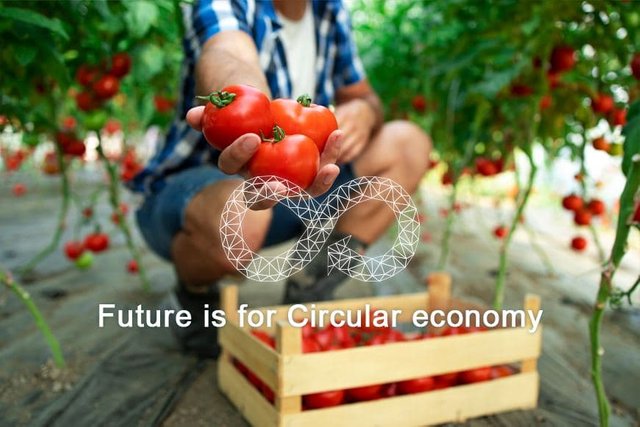 Circular economy 1.jpg