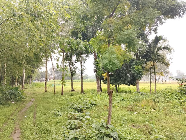 1000041778.jpg