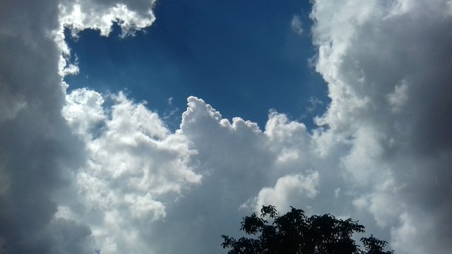 20180726_111210.jpg