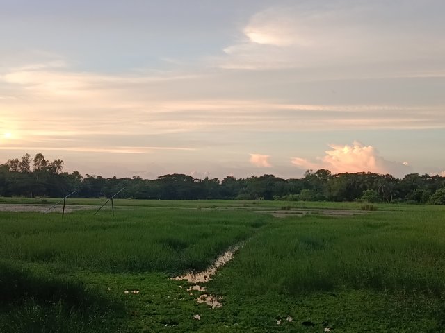 1000011081.jpg