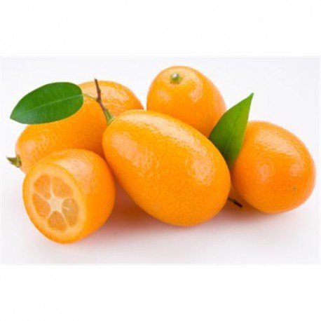 kumquat.jpg