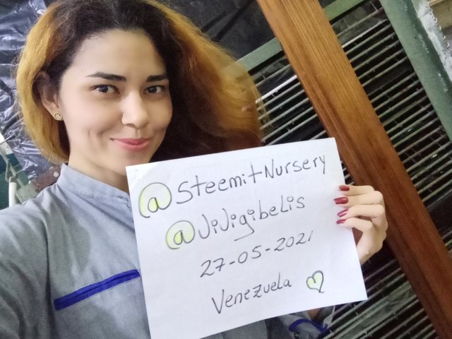 Hola steemit nursery.jpg