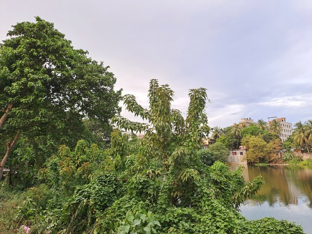 20240825_180749.jpg