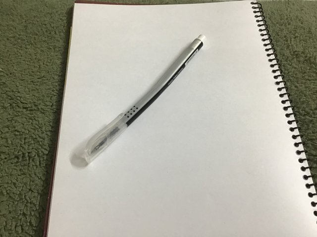 IMG_1109.jpeg