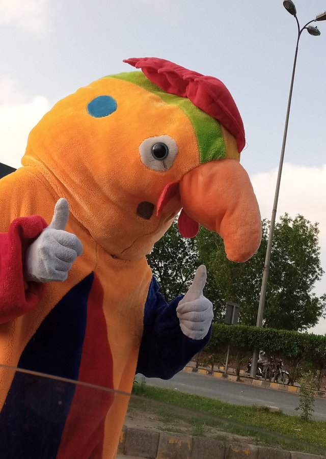 1759156021013.jpg